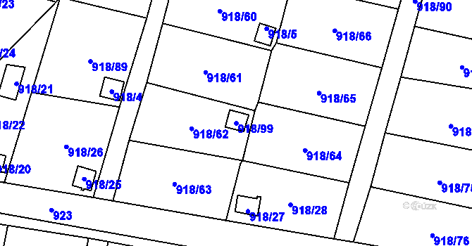 Parcela st. 918/99 v KÚ Dolní Chodov, Katastrální mapa