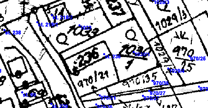 Parcela st. 236 v KÚ Chodská Lhota, Katastrální mapa