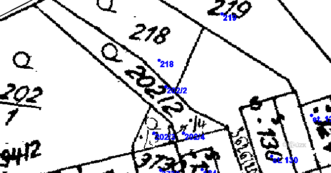 Parcela st. 202/2 v KÚ Chodská Lhota, Katastrální mapa