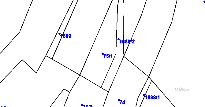 Parcela st. 75/1 v KÚ Štokov, Katastrální mapa