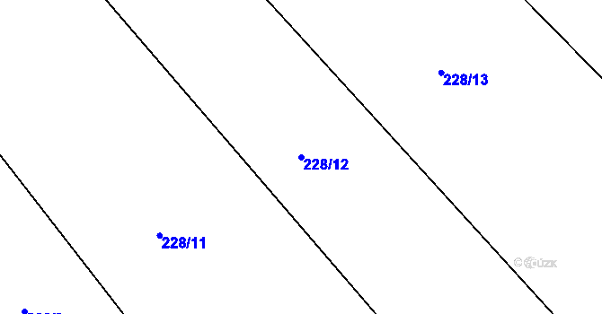 Parcela st. 228/12 v KÚ Dubčany u Choliny, Katastrální mapa