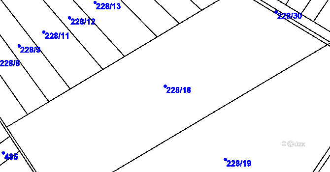 Parcela st. 228/18 v KÚ Dubčany u Choliny, Katastrální mapa