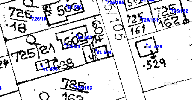 Parcela st. 604 v KÚ Choltice, Katastrální mapa