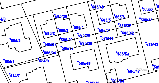 Parcela st. 585/38 v KÚ Točná, Katastrální mapa