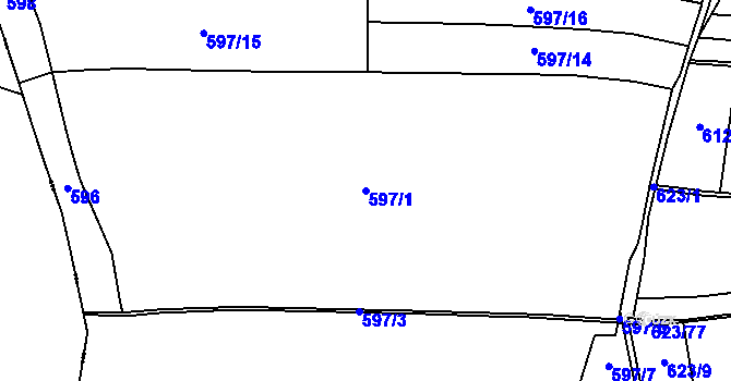 Parcela st. 597/1 v KÚ Chomutice, Katastrální mapa