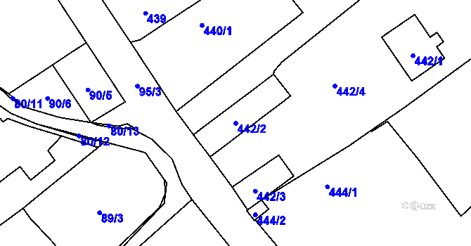 Parcela st. 442/2 v KÚ Choryně, Katastrální mapa
