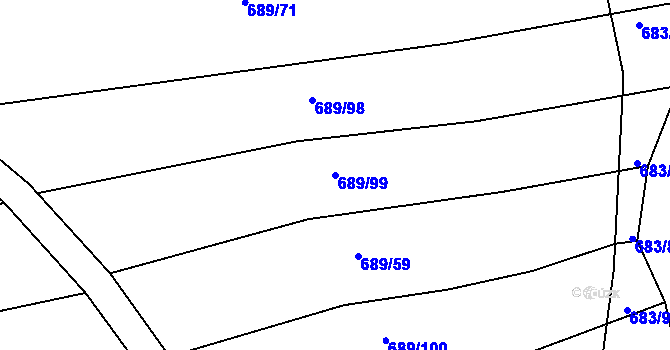 Parcela st. 689/99 v KÚ Choryně, Katastrální mapa