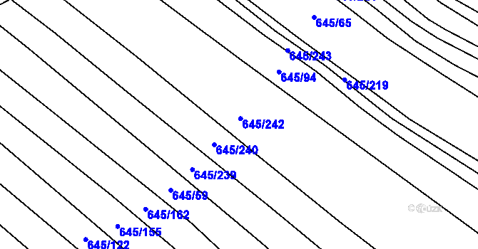 Parcela st. 645/241 v KÚ Choryně, Katastrální mapa