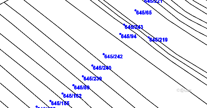 Parcela st. 645/242 v KÚ Choryně, Katastrální mapa