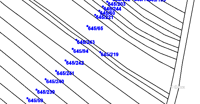 Parcela st. 645/219 v KÚ Choryně, Katastrální mapa