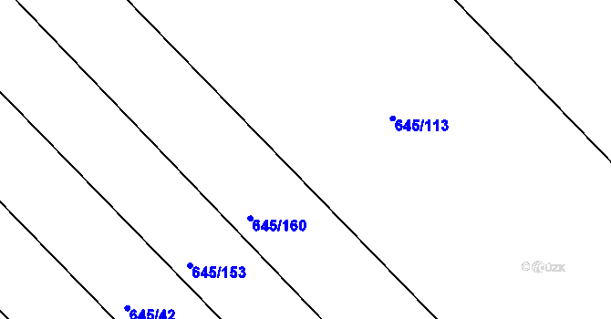 Parcela st. 645/106 v KÚ Choryně, Katastrální mapa