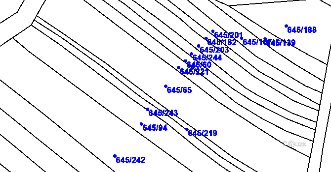 Parcela st. 645/65 v KÚ Choryně, Katastrální mapa