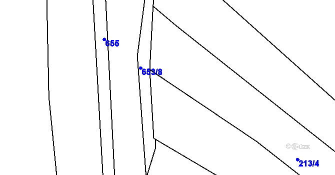 Parcela st. 213/2 v KÚ Choryně, Katastrální mapa