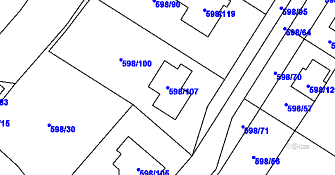 Parcela st. 598/107 v KÚ Chotíkov, Katastrální mapa