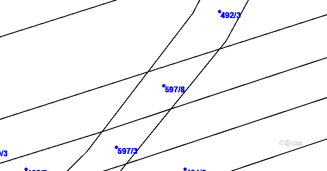 Parcela st. 597/8 v KÚ Chotusice, Katastrální mapa