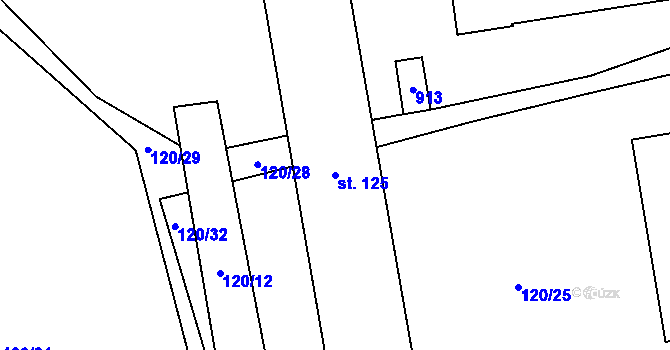 Parcela st. 125 v KÚ Choustník, Katastrální mapa