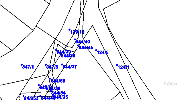 Parcela st. 124/5 v KÚ Choustník, Katastrální mapa