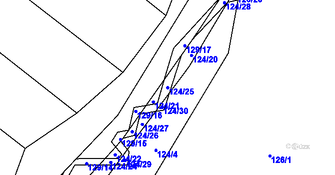 Parcela st. 124/25 v KÚ Choustník, Katastrální mapa