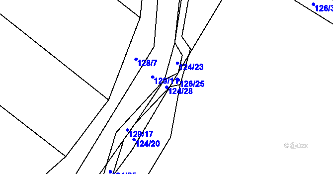 Parcela st. 124/28 v KÚ Choustník, Katastrální mapa
