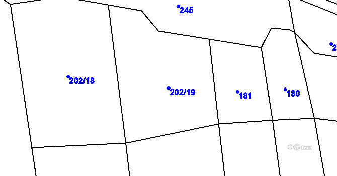 Parcela st. 202/19 v KÚ Kajetín, Katastrální mapa