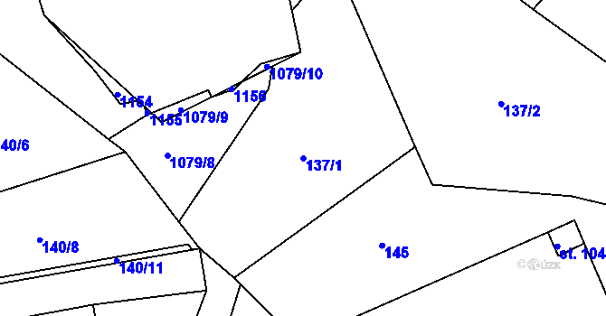 Parcela st. 137/1 v KÚ Chožov, Katastrální mapa