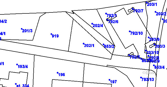 Parcela st. 202/1 v KÚ Dolní Chrastava, Katastrální mapa