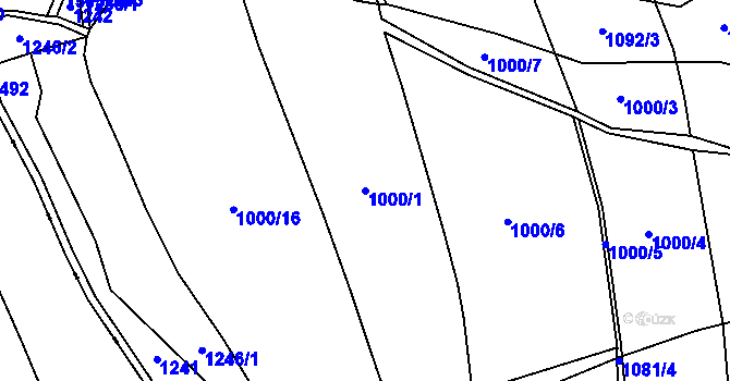 Parcela st. 1000/1 v KÚ Horní Chrastava, Katastrální mapa
