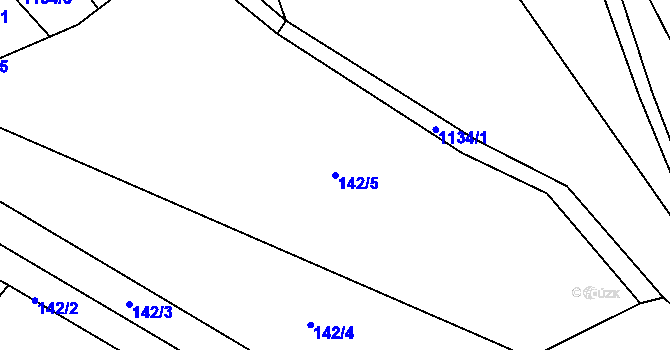 Parcela st. 142/5 v KÚ Hynčice pod Sušinou, Katastrální mapa