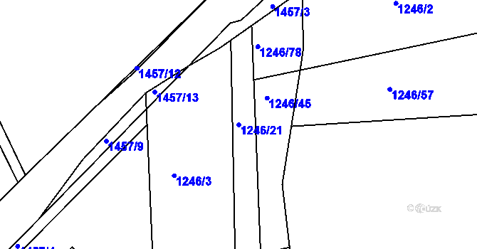 Parcela st. 1246/21 v KÚ Leptač, Katastrální mapa