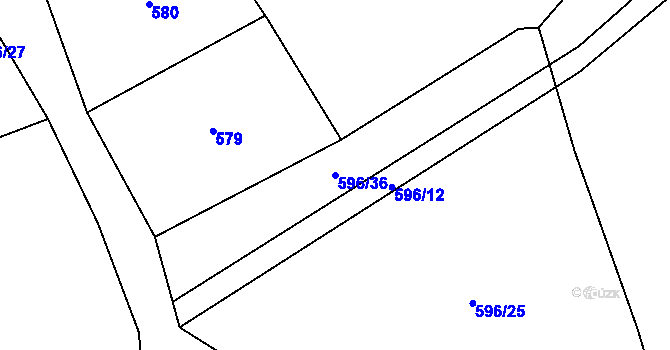 Parcela st. 596/36 v KÚ Holovousy, Katastrální mapa