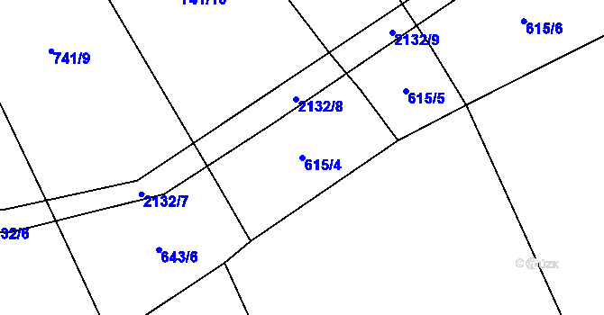 Parcela st. 615/4 v KÚ Chudenice, Katastrální mapa