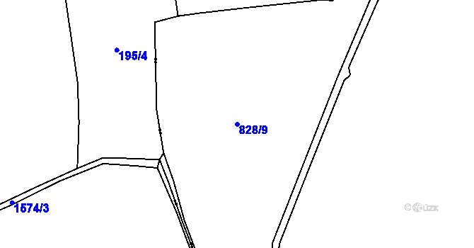 Parcela st. 828/9 v KÚ Liščí u Chudenína, Katastrální mapa