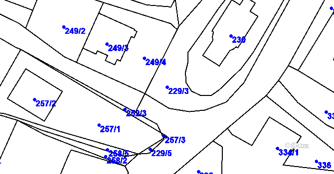 Parcela st. 229/3 v KÚ Chvalíkovice, Katastrální mapa