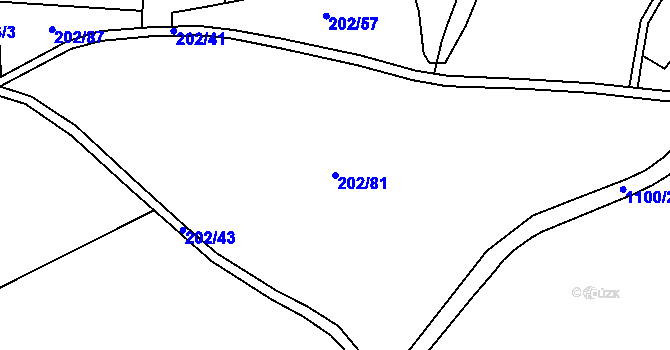 Parcela st. 202/81 v KÚ Chvalovice u Netolic, Katastrální mapa