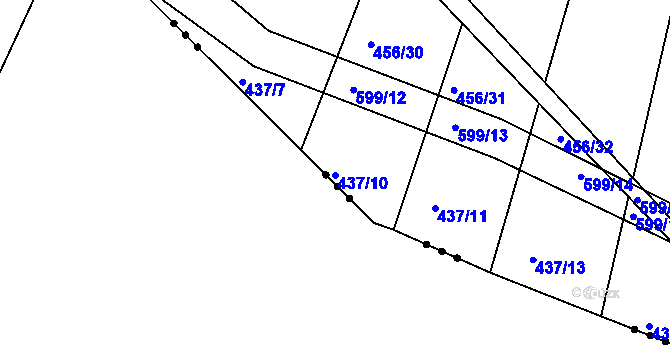 Parcela st. 437/10 v KÚ Lužice u Netolic, Katastrální mapa
