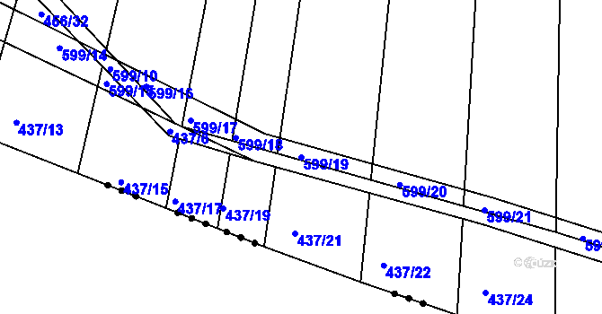 Parcela st. 599/19 v KÚ Lužice u Netolic, Katastrální mapa