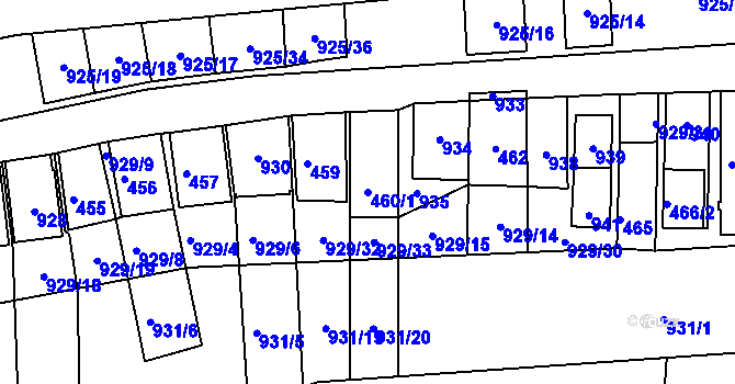 Parcela st. 460/1 v KÚ Chvalovice, Katastrální mapa
