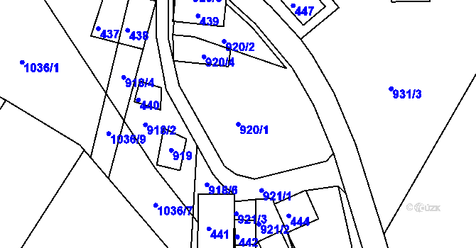 Parcela st. 920/1 v KÚ Chvalovice, Katastrální mapa