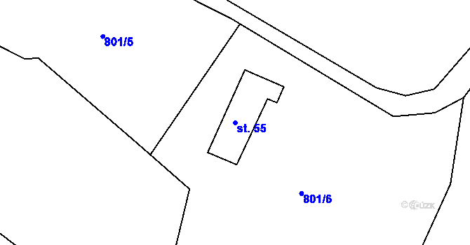 Parcela st. 55 v KÚ Borová u Chvalšin, Katastrální mapa