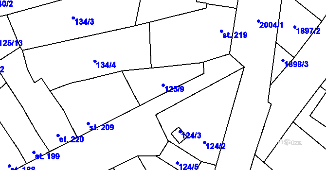 Parcela st. 125/9 v KÚ Ivaň, Katastrální mapa