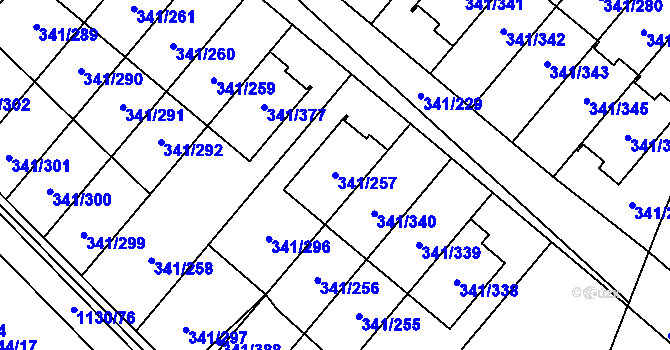 Parcela st. 341/257 v KÚ Ivanovice, Katastrální mapa