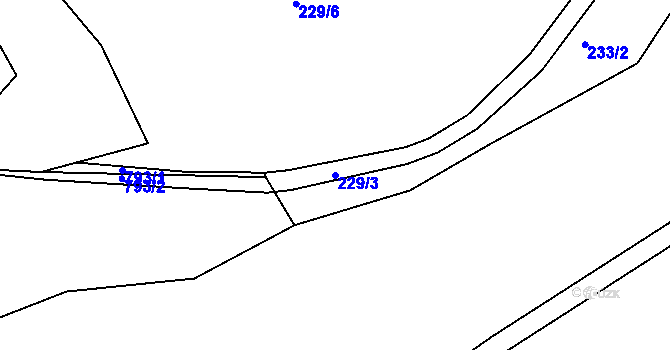 Parcela st. 229/3 v KÚ Jablonec nad Jizerou, Katastrální mapa