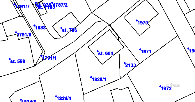 Parcela st. 604 v KÚ Jablonecké Paseky, Katastrální mapa