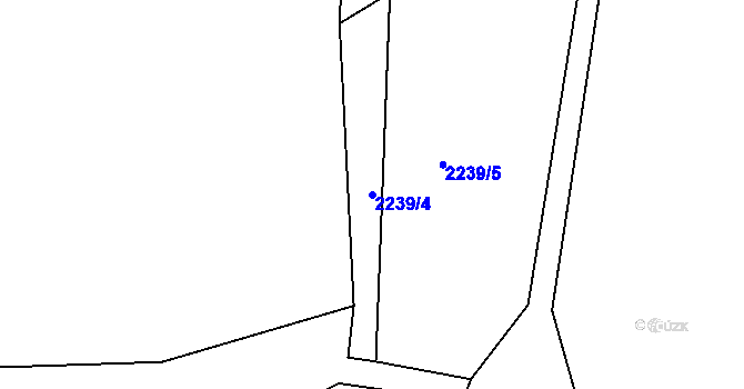 Parcela st. 2239/4 v KÚ Jáchymov, Katastrální mapa