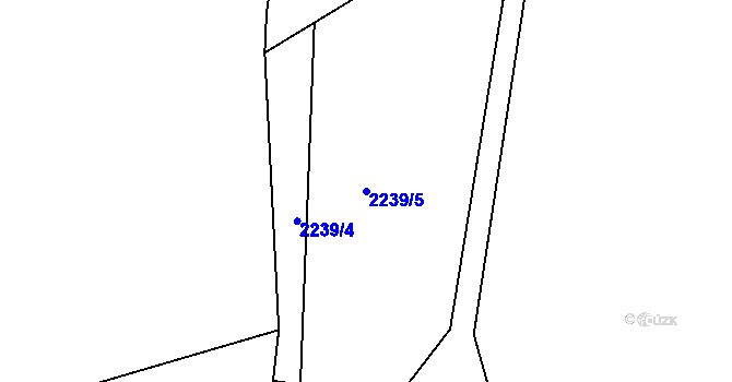 Parcela st. 2239/5 v KÚ Jáchymov, Katastrální mapa