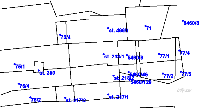 Parcela st. 218/1 v KÚ Jalubí, Katastrální mapa