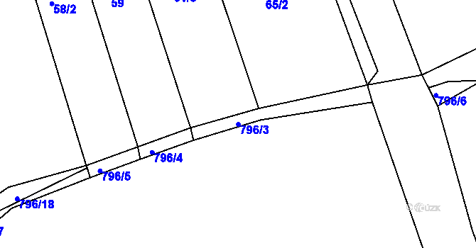 Parcela st. 796/3 v KÚ Jamnice, Katastrální mapa