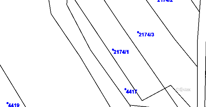 Parcela st. 2163 v KÚ Holašovice, Katastrální mapa