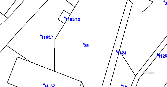 Parcela st. 29 v KÚ Janov u Mladé Vožice, Katastrální mapa