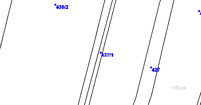 Parcela st. 437/1 v KÚ Janov u Krnova, Katastrální mapa